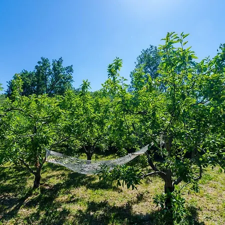 Green Paradise Nyaraló