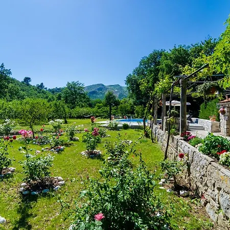 Green Paradise